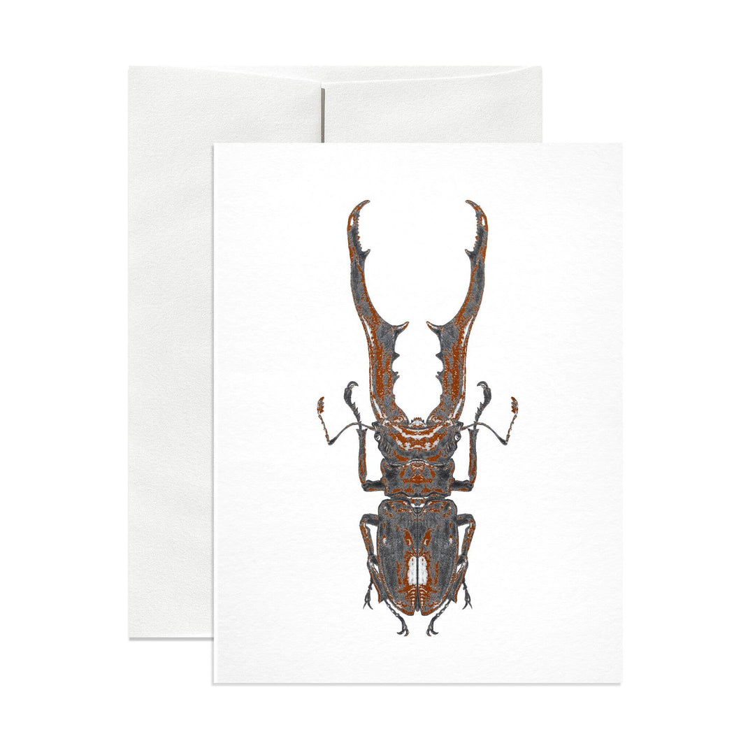 Stag Beetle Greeting Card