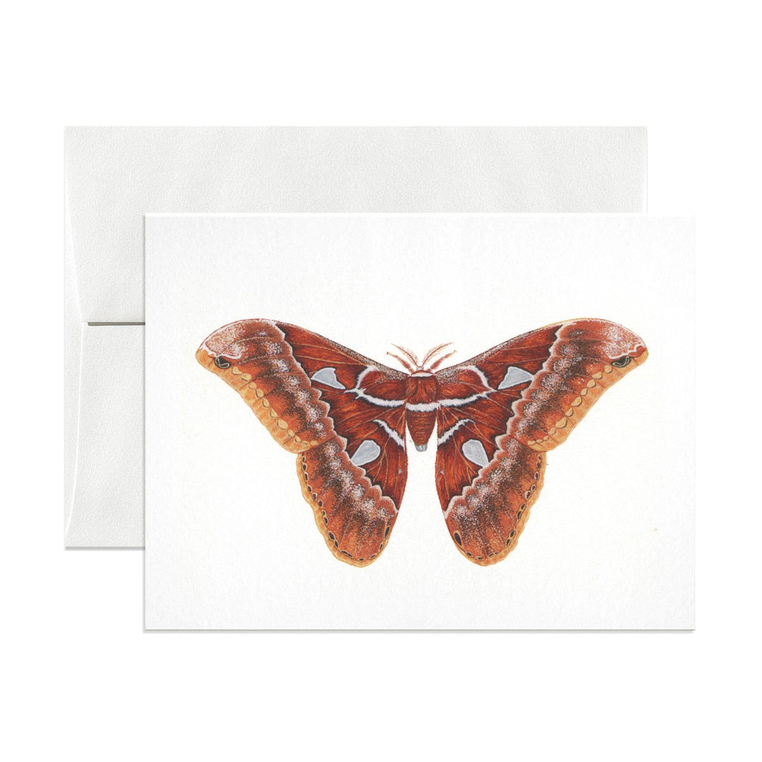 Orizaba Silkmoth Greeting Card