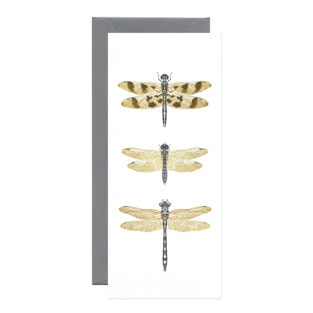 Dragonflies Card