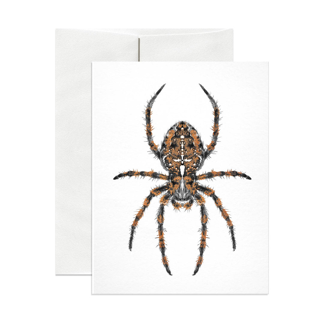 Diadem Spider Card