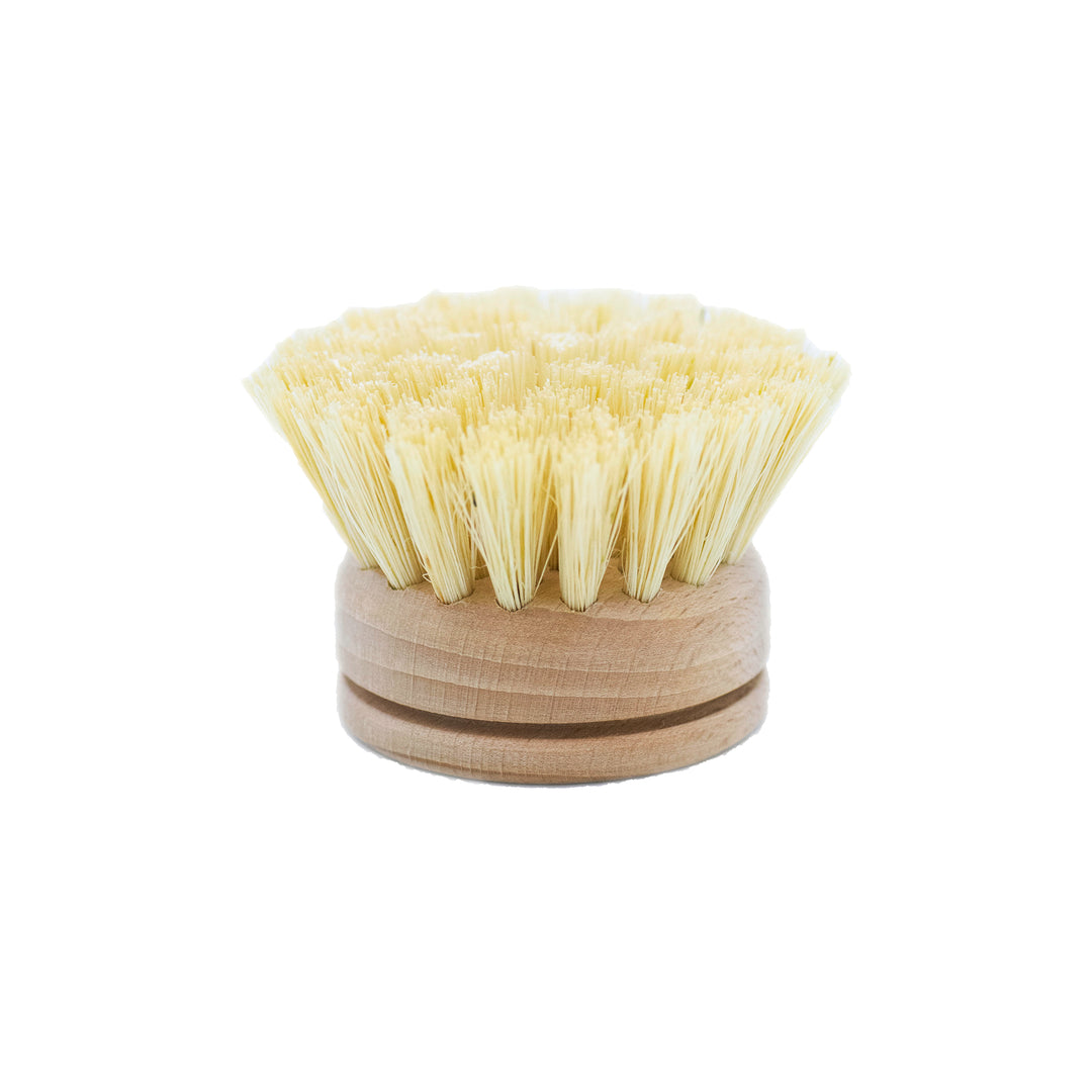 Long Handle Dish Brush replacement head