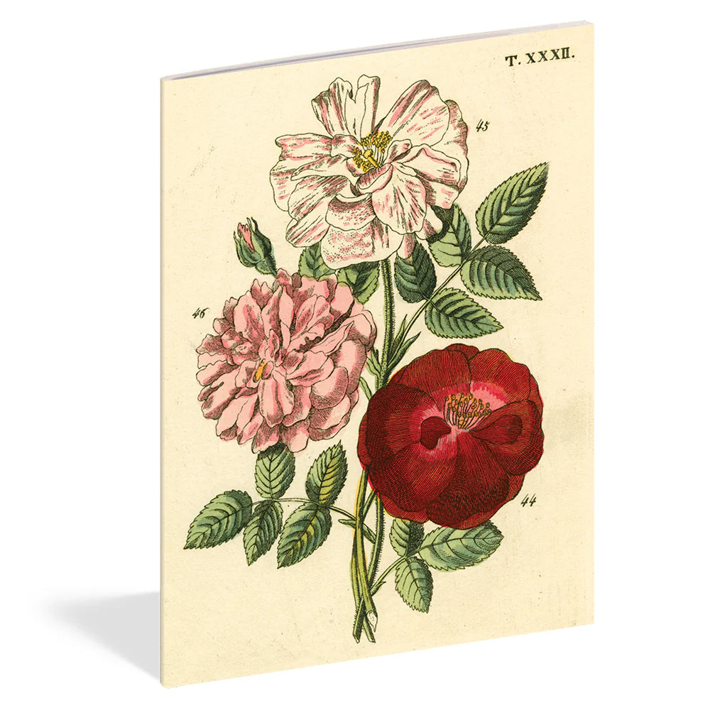Everything Roses Notebooks by John Derian