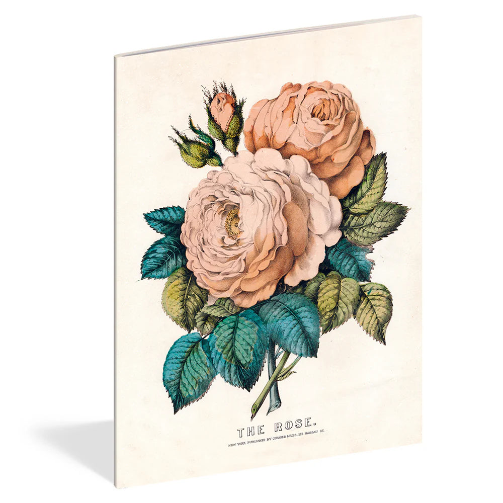 Everything Roses Notebooks by John Derian