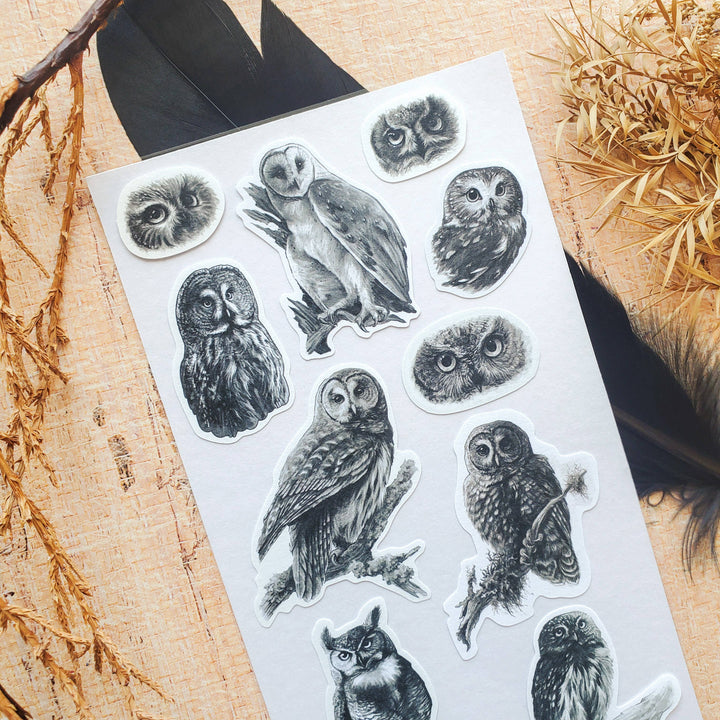 Woodland Watchers Owl Sticker Sheet