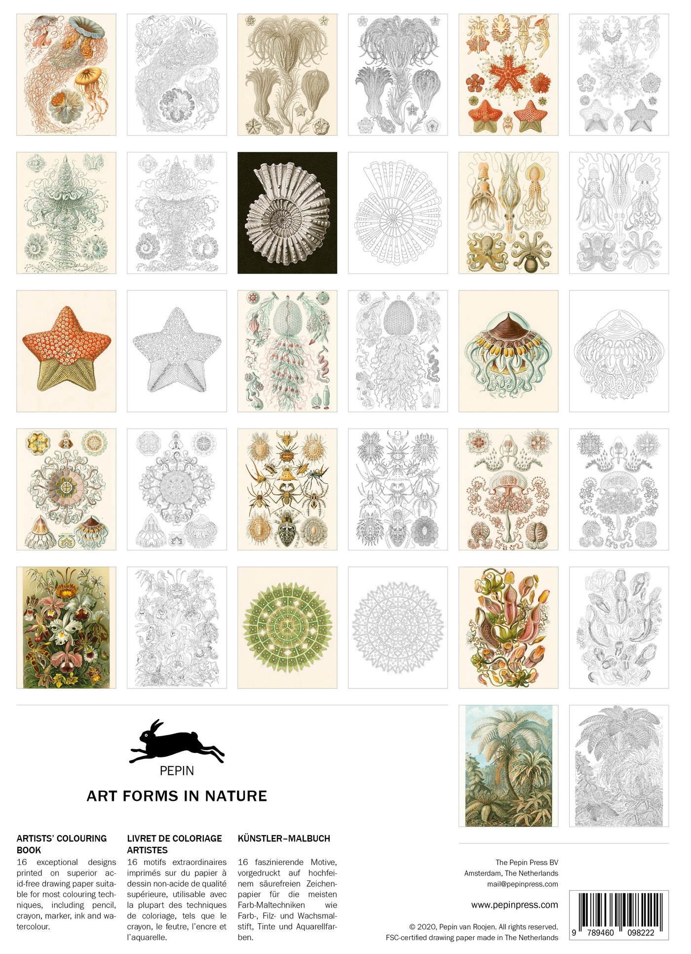 Art Forms in Nature - Artists' Colouring Book