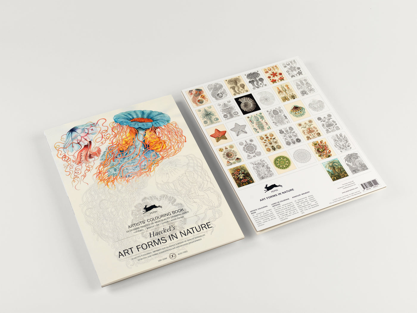 Art Forms in Nature - Artists' Colouring Book