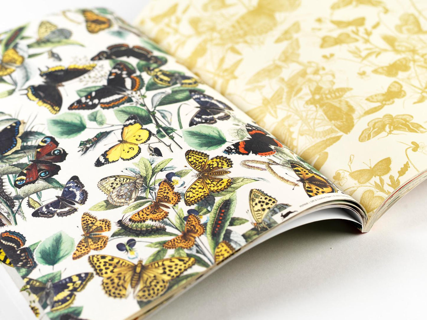 Butterflies - Gift & Creative Paper Book