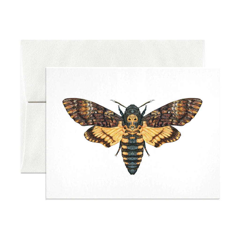 Death's-head Hawkmoth Greeting Card