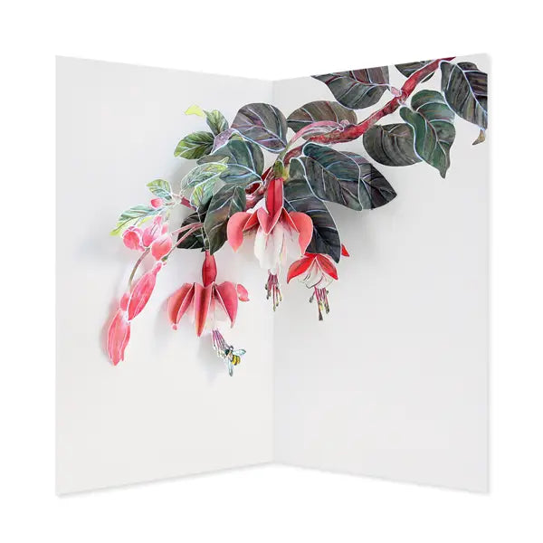 Fuchsia Pop-Up Card