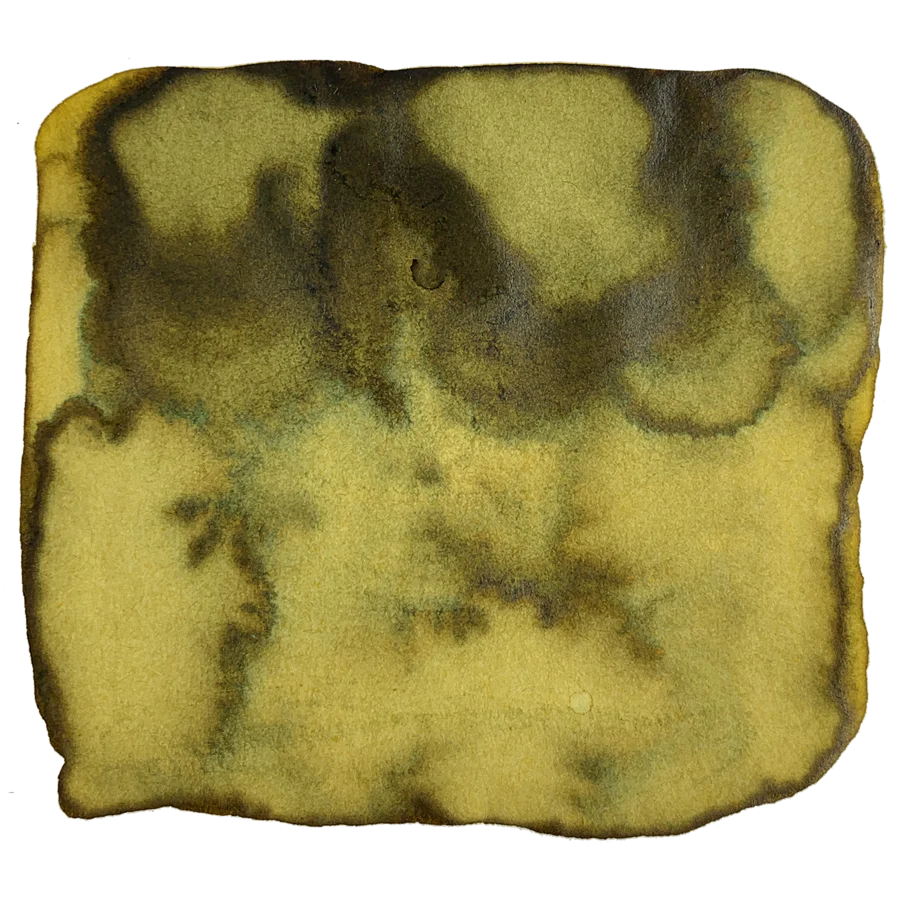 Kyo No Oto Ink No. 4 Yamabukiiro Yellow