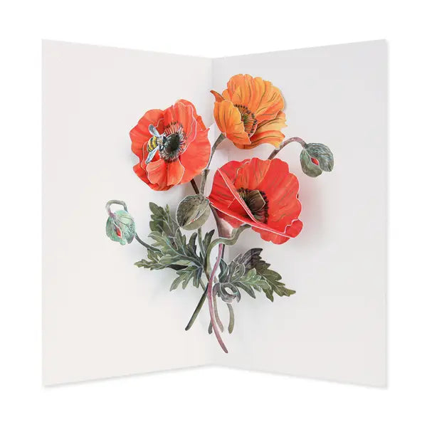 Poppies Pop-Up Card