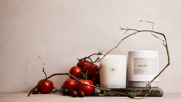 Herbarium Collection No. 3: Tomato Vine