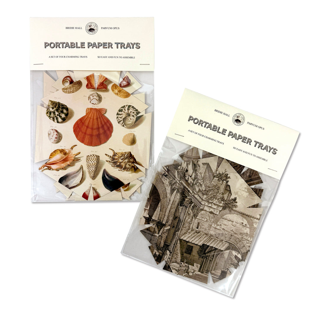 Shells Paper Trays, Set of 4