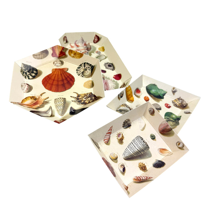 Shells Paper Trays, Set of 4