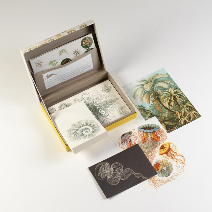 Art Forms in Nature Letter Writing Set