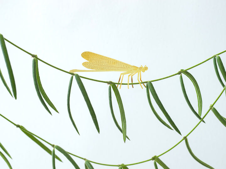 Plant Animal - Damselfly