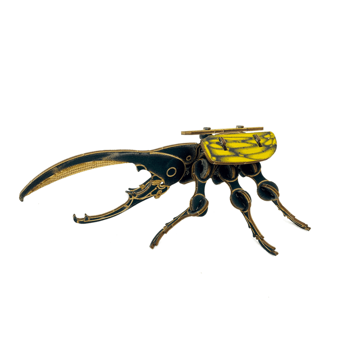 Beetle Arthropoda Pop Out Figure