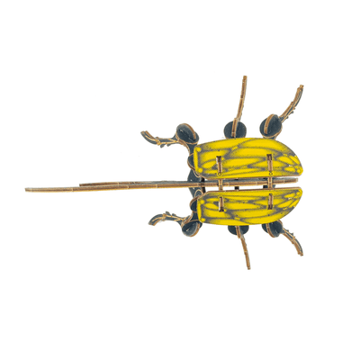 Beetle Arthropoda Pop Out Figure