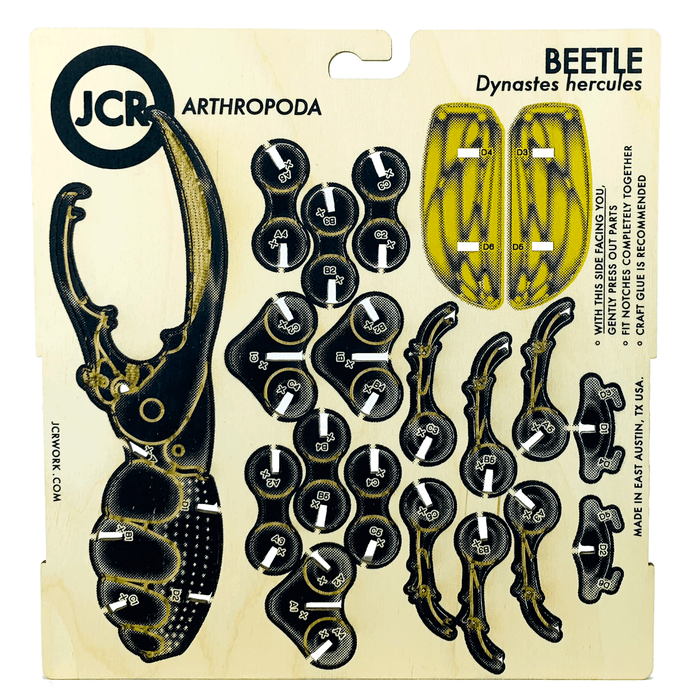 Beetle Arthropoda Pop Out Figure