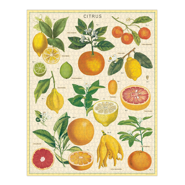 Citrus 1,000 Piece Puzzle