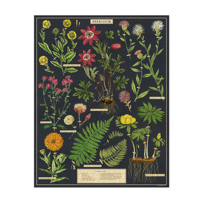 Herbarium 1,000 Piece Puzzle