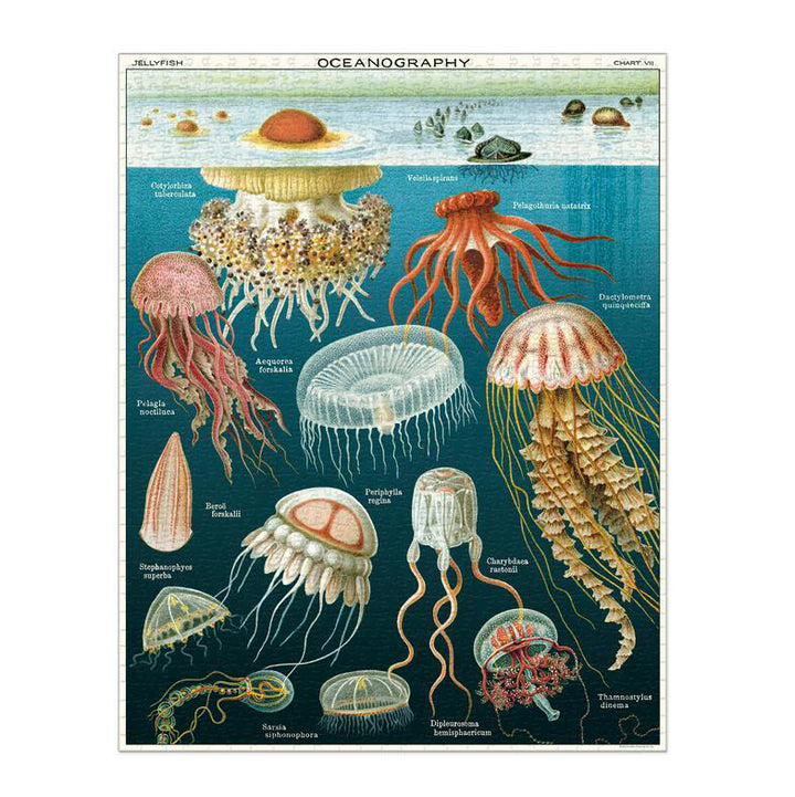 Jellyfish 1,000 Piece Puzzle