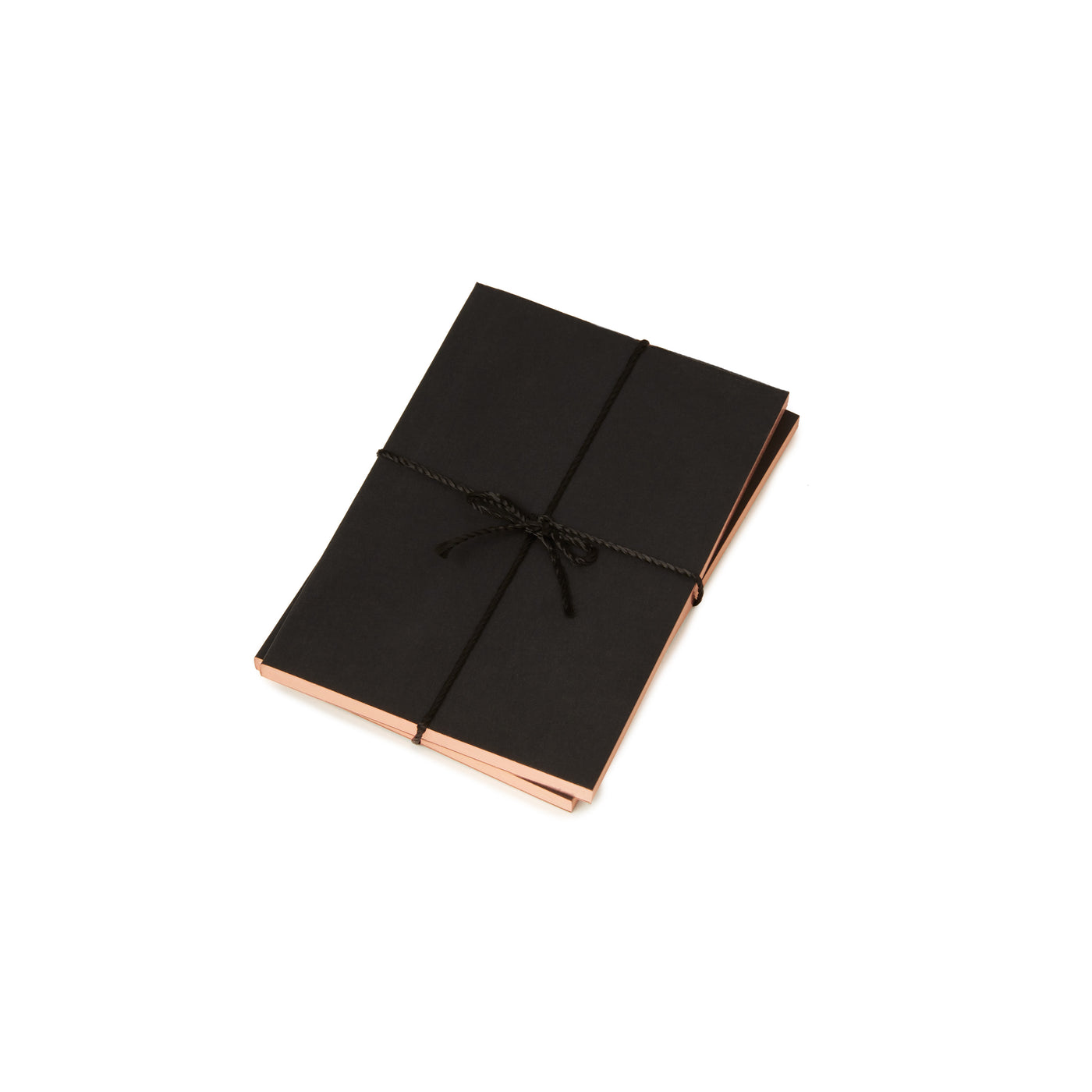 Mini Notebooks Set of Two in Rose Gold