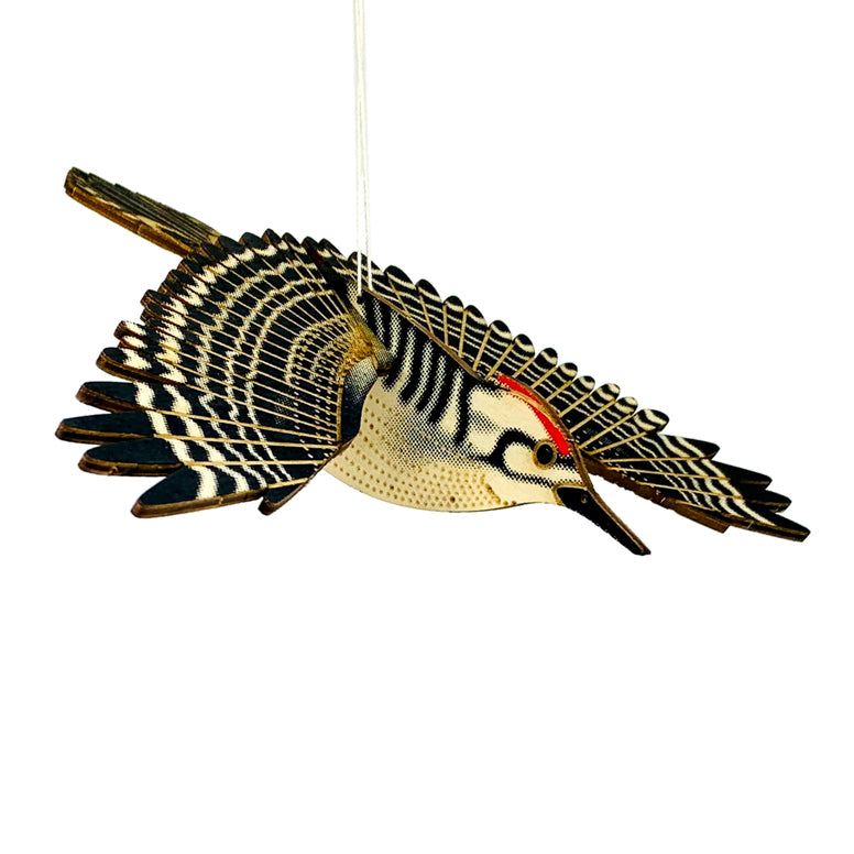 Woodpecker Pop Out Figure