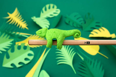Chameleon Jungle Pencil and Eraser